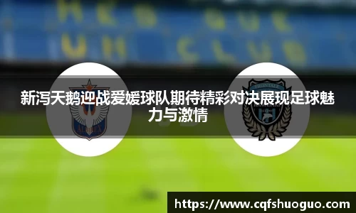 BSports网页版