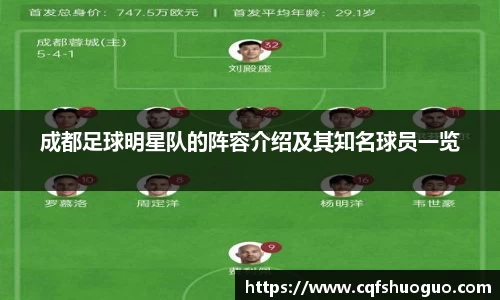 成都足球明星队的阵容介绍及其知名球员一览
